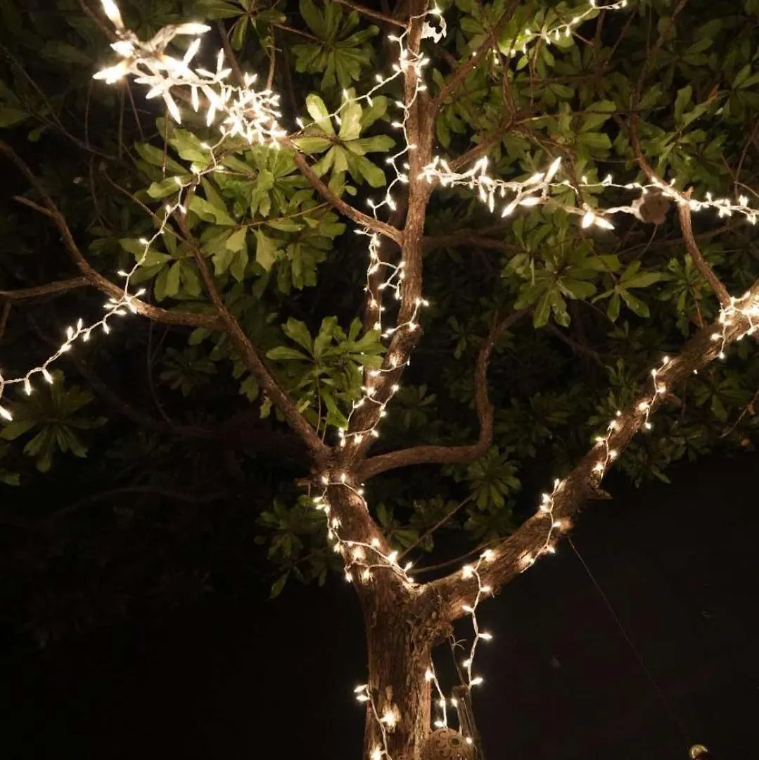 Varuna Hotel Tulum Guest house